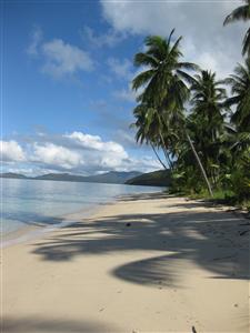 beach